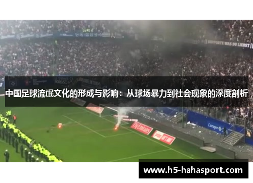 中国足球流氓文化的形成与影响：从球场暴力到社会现象的深度剖析